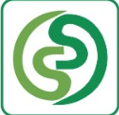 Smart Solutions Logo